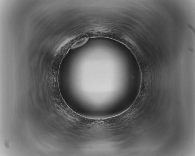 X0000100841112200806201144