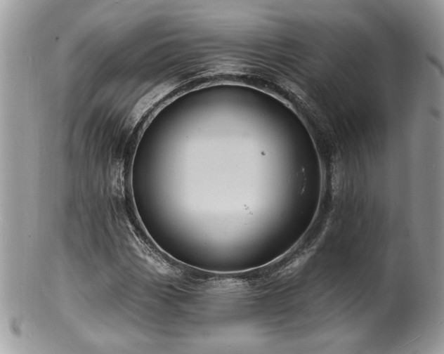 X0000100841113200806201144