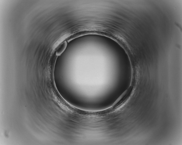 X0000100841114200806201144