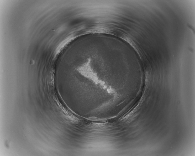 X0000100841115200806201144