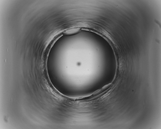 X0000100841116200806201144