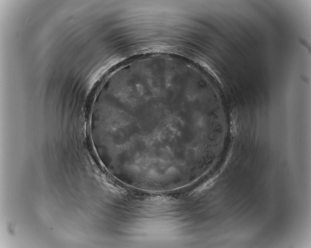 X0000100841117200806201144