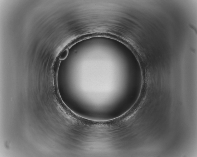 X0000100841118200806201144