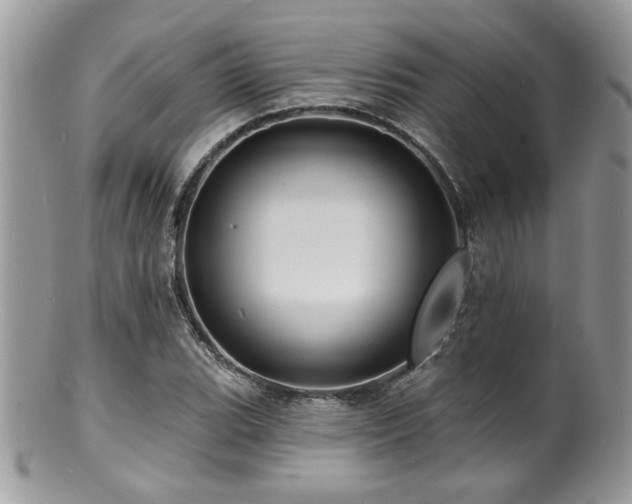 X0000100841119200806201144