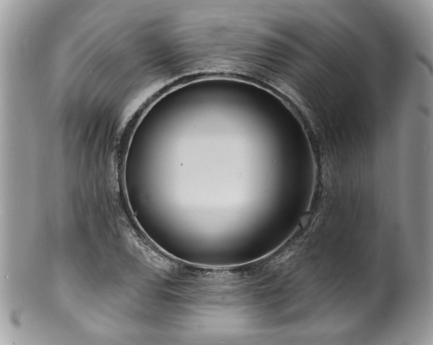 X0000100841120200806201144