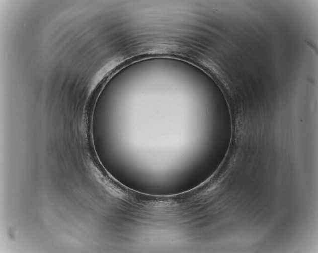 X0000100841122200806201144