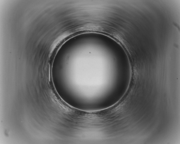 X0000100841123200806201144