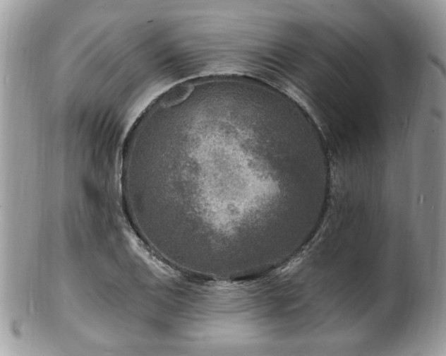 X0000100841124200806201144