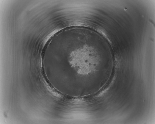 X0000100841125200806201144