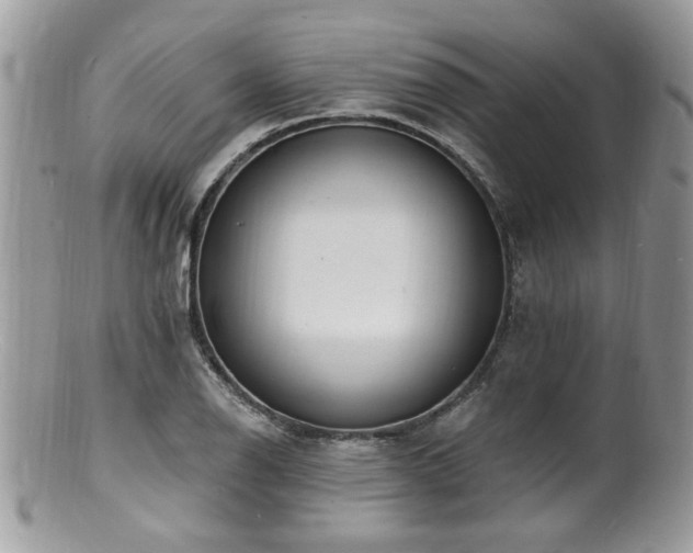 X0000100841126200806201144