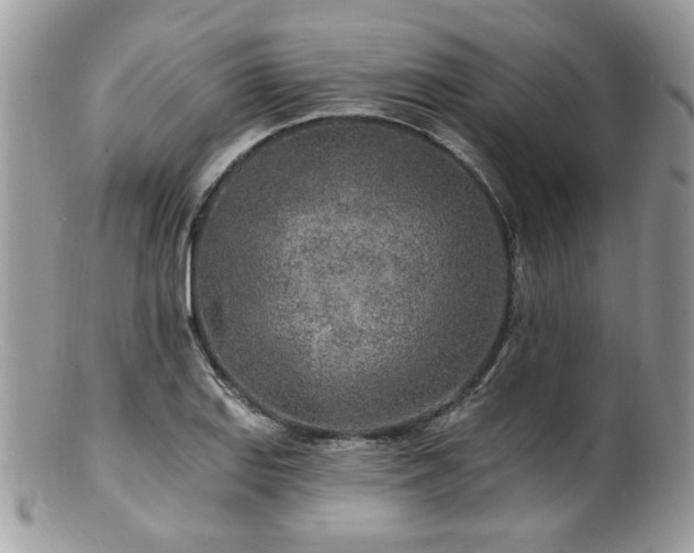 X0000100841127200806201144