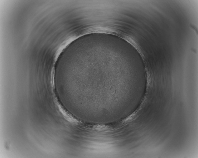 X0000100841128200806201144