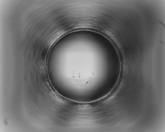 X0000100841129200806201144