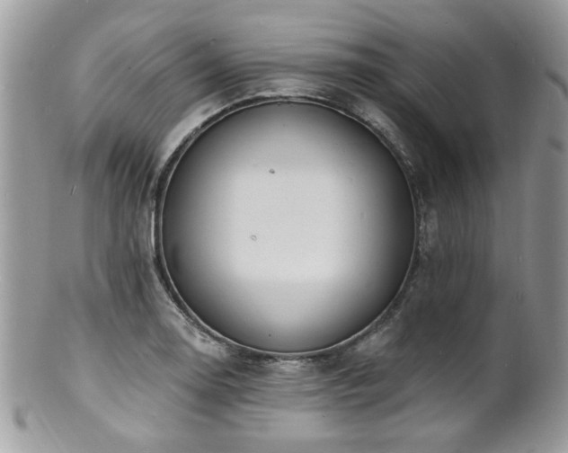 X0000100841130200806201144