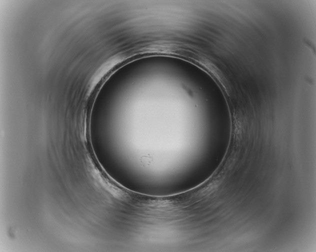 X0000100841131200806201144