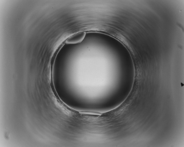 X0000100841132200806201144