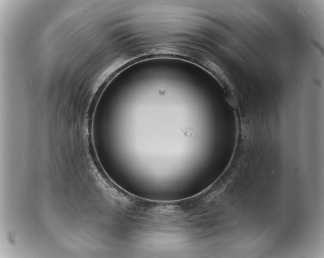 X0000100841133200806201144