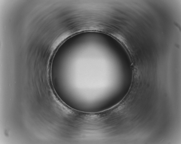 X0000100841135200806201144