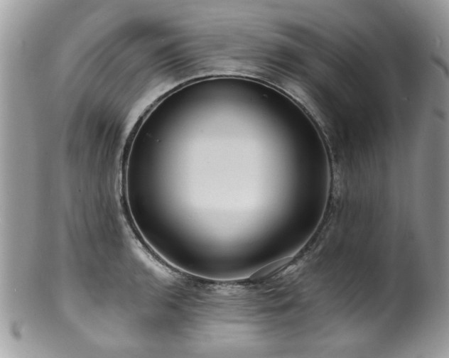 X0000100841136200806201144