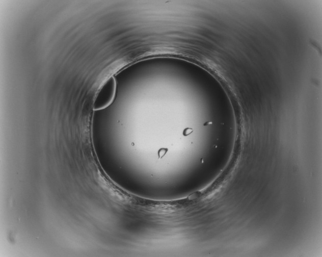 X0000100841137200806201144