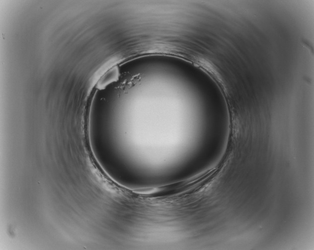 X0000100841138200806201144