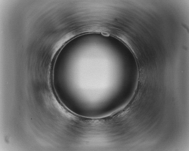 X0000100841139200806201144