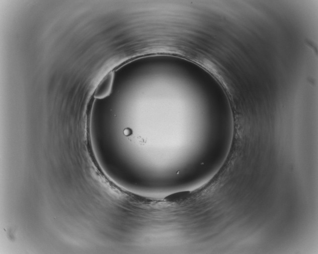 X0000100841140200806201144