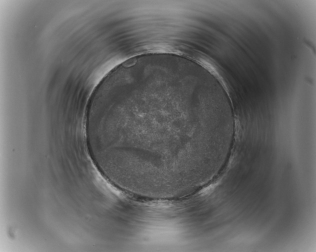 X0000100841141200806201144