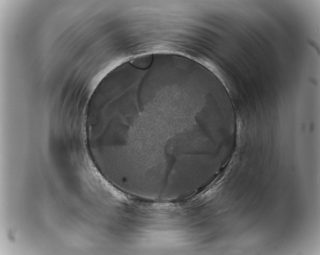 X0000100841142200806201144