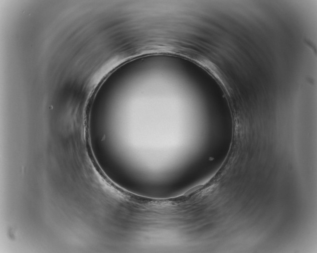 X0000100841143200806201144