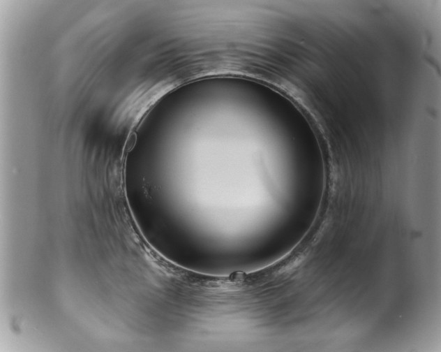 X0000100841145200806201144