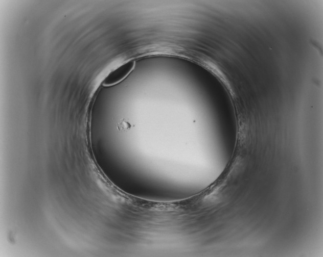 X0000100841146200806201144