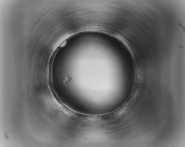 X0000100841147200806201144