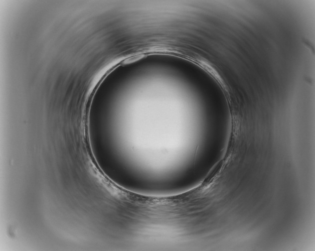 X0000100841148200806201144