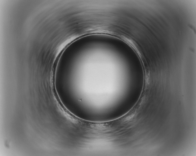 X0000100841149200806201144