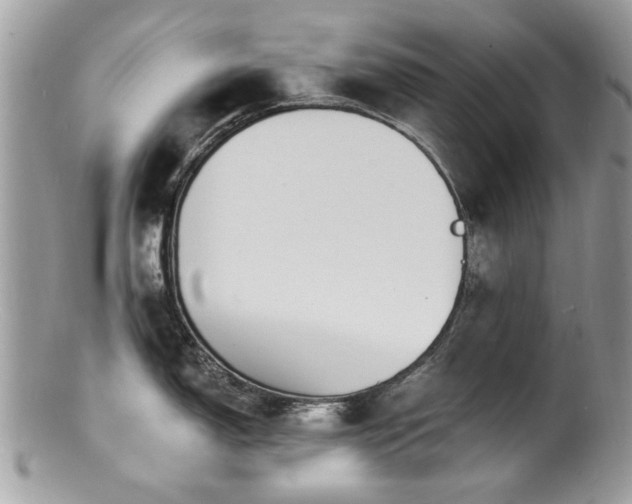 X0000100841150200806201144