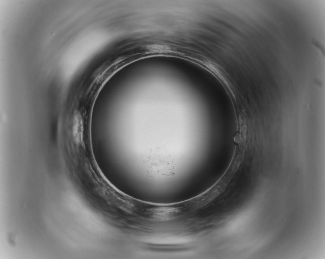 X0000100841151200806201144