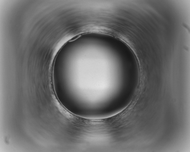 X0000100841152200806201144