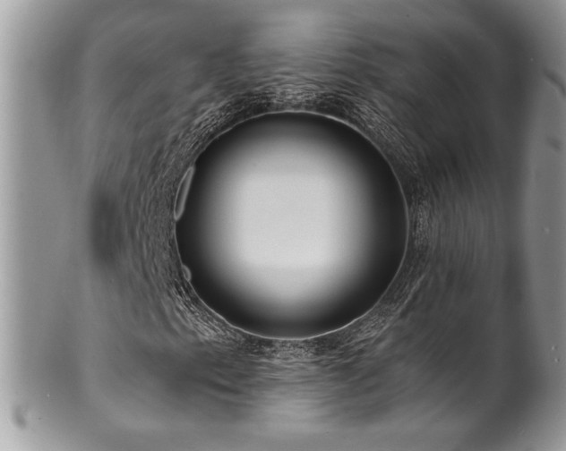 X0000100841153200806201143