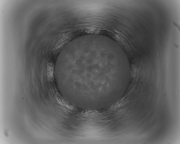 X0000100841154200806201143