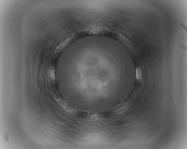 X0000100841155200806201143