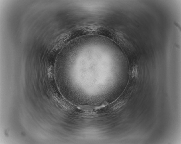 X0000100841156200806201143