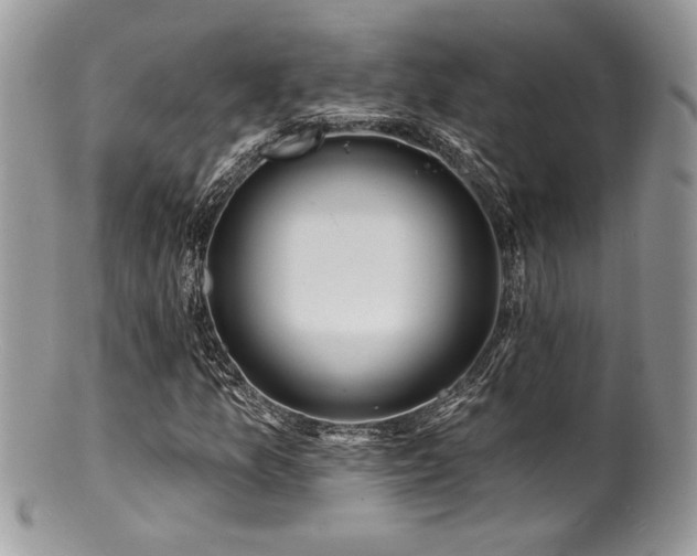 X0000100841157200806201143