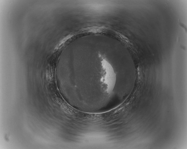 X0000100841158200806201143