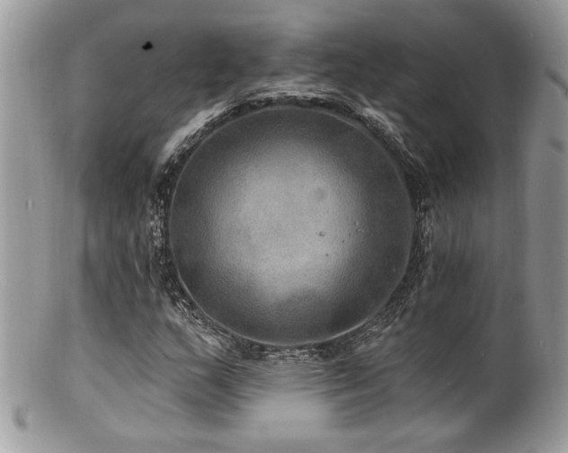 X0000100841159200806201143