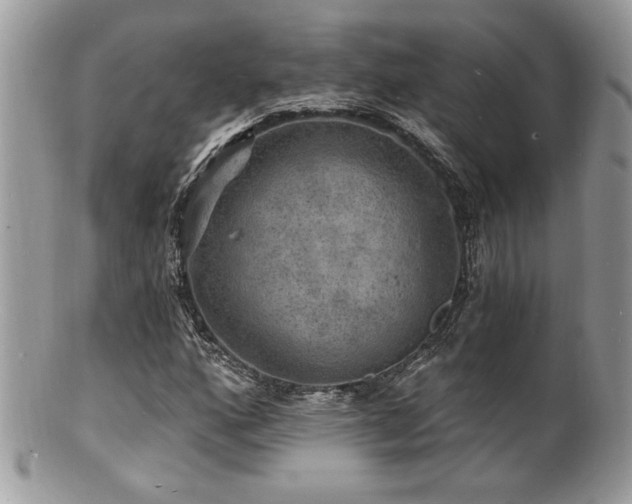 X0000100841160200806201143