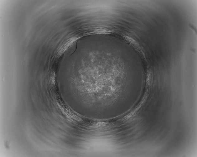 X0000100841161200806201143