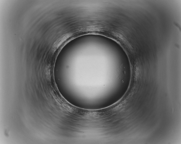 X0000100841162200806201143