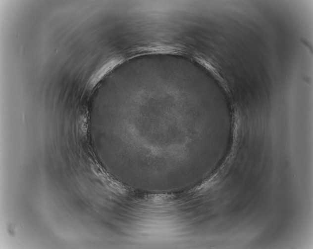 X0000100841163200806201143