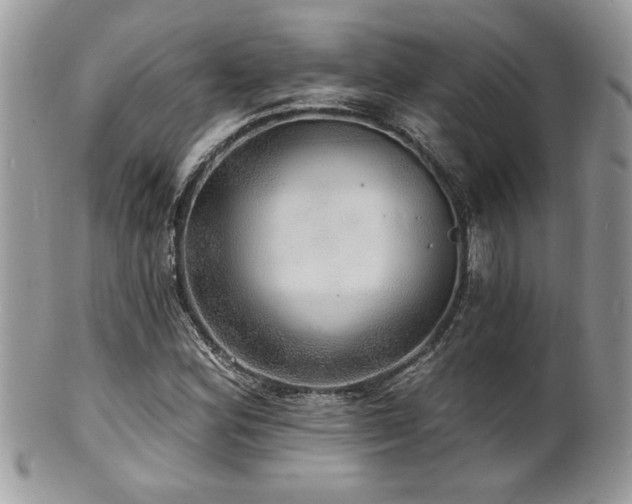 X0000100841164200806201143